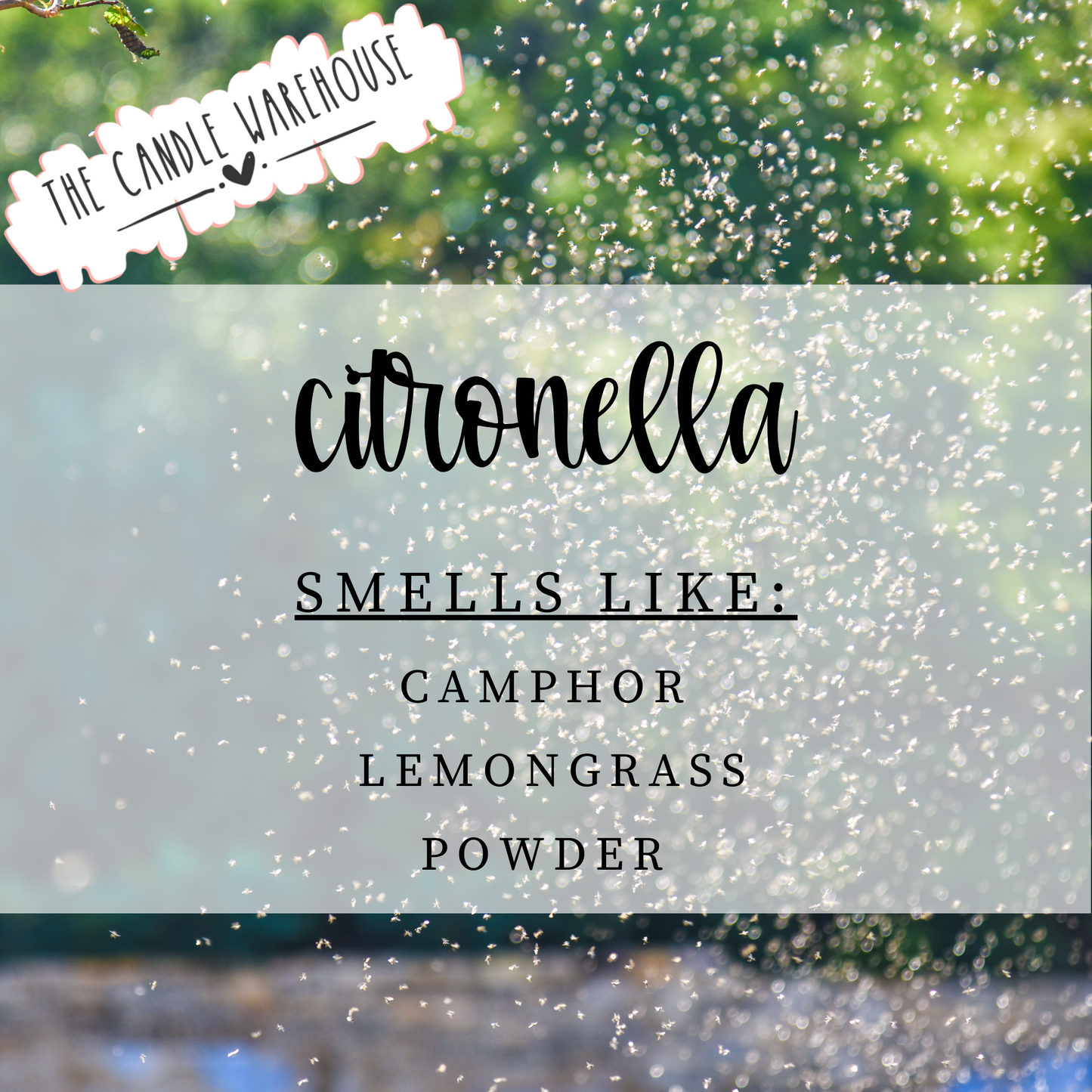 Citronella 9 oz Candle