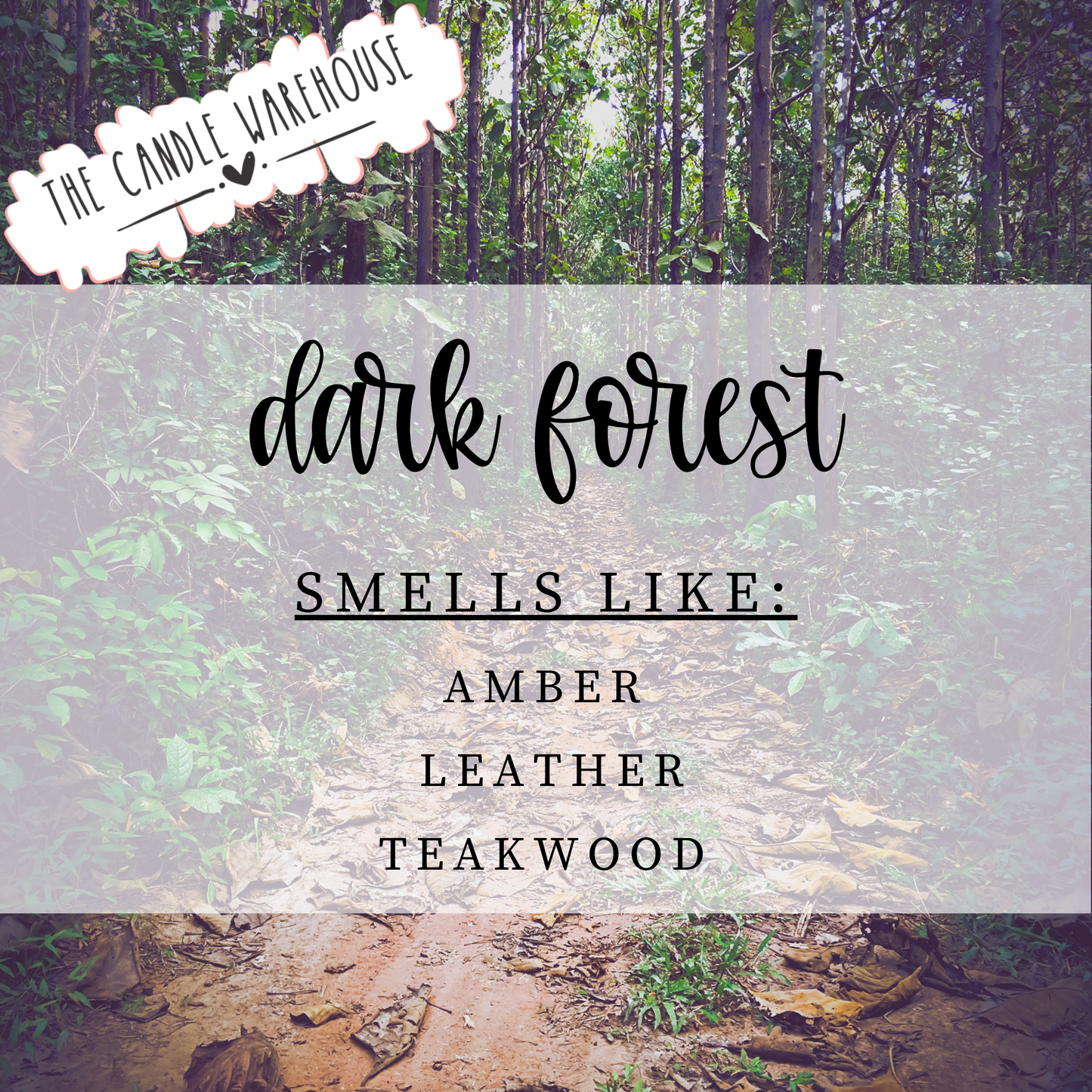 Dark Forest 3-Wick Candle