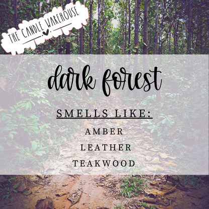 Dark Forest 3-Wick Candle
