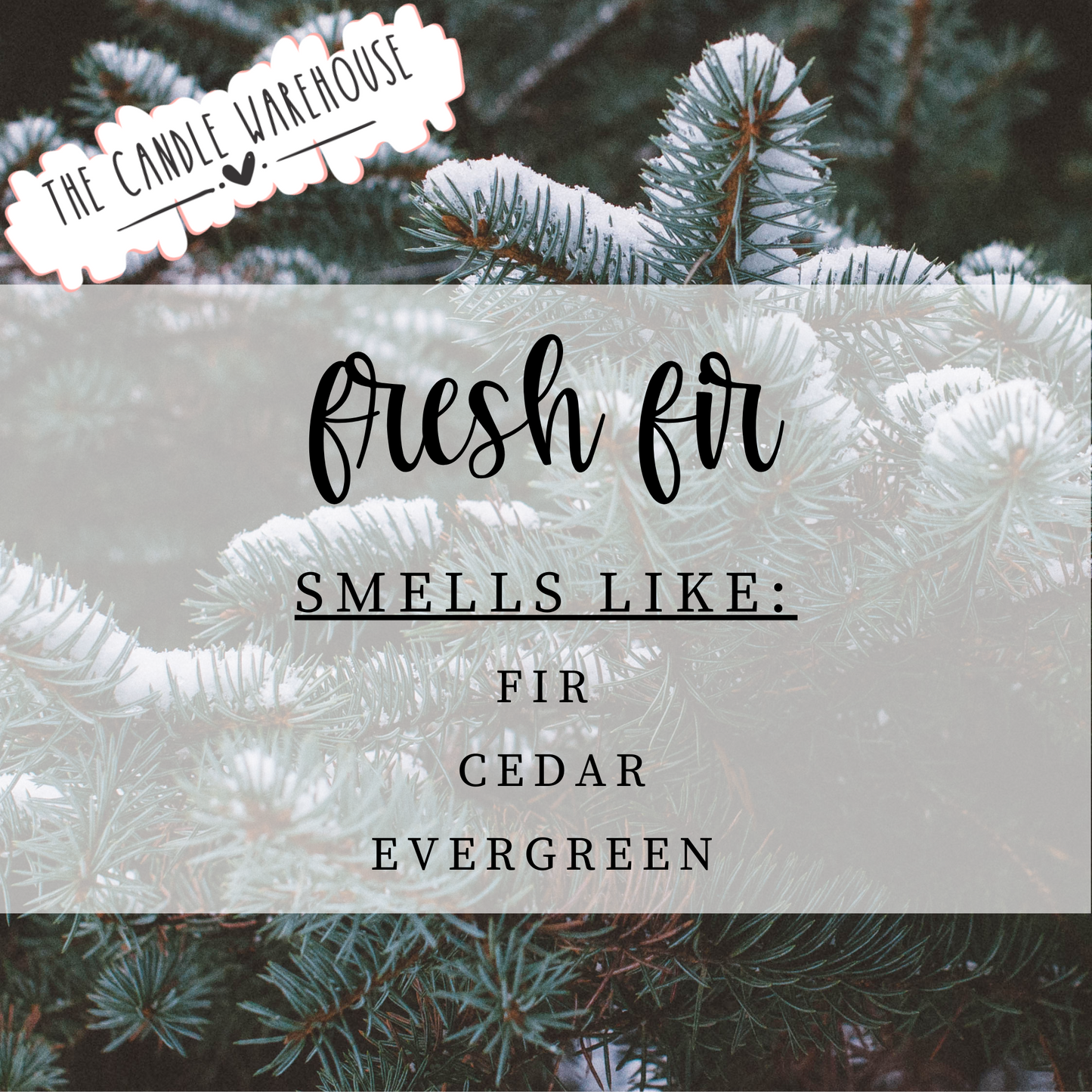 Fresh Fir Wax Melts
