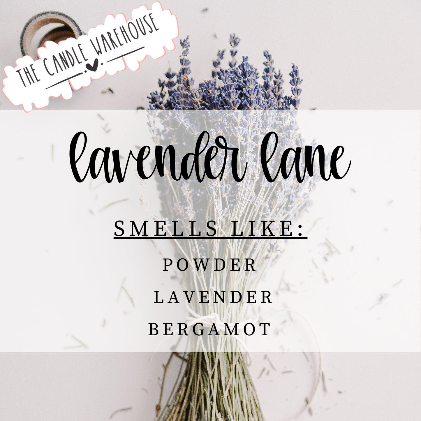 Lavender Lane 3-Wick Candle