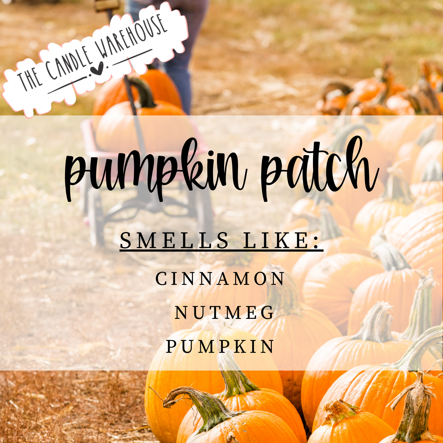 Pumpkin Patch 3-Wick Candle